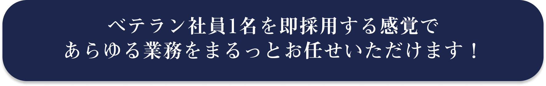 ベテラン社員１名を即採用する感覚であらゆる業務をまるっとお任せいただけます！